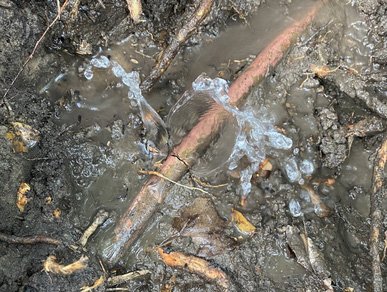cracked copper pipe from tree root