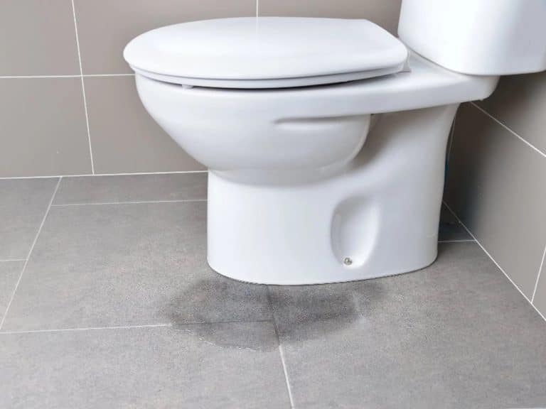 leaking toiletresized